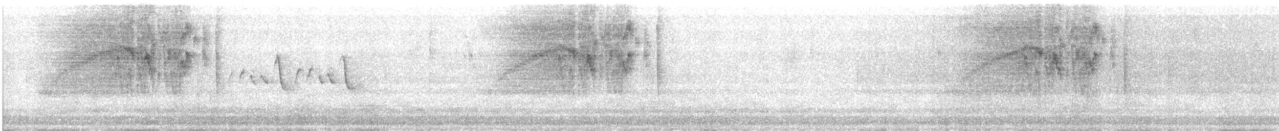 Bananaquit - ML619499491