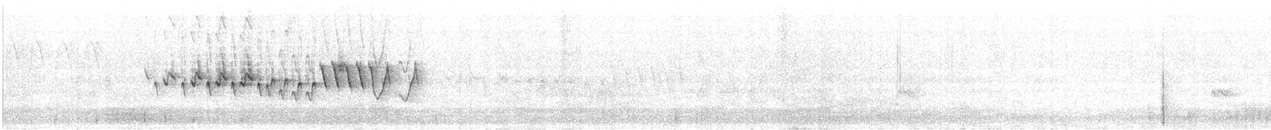 Barbuda Warbler - ML619499496