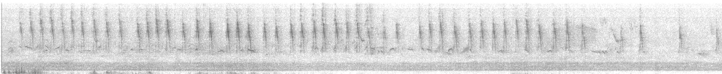 Mangrove Yellow Warbler (Greater Antillean) - ML619499518
