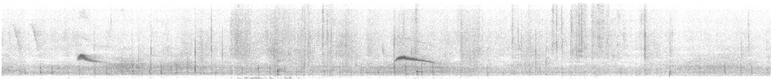 Caribbean Elaenia - ML619499537