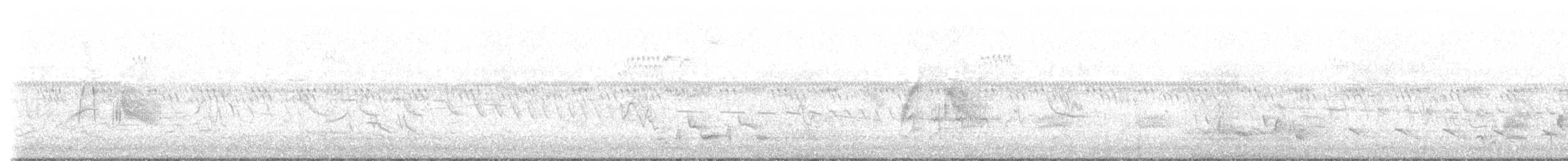 tyranovec vrbový - ML619499846