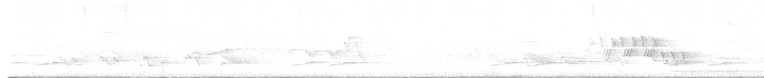 svartbrystparula - ML619500044