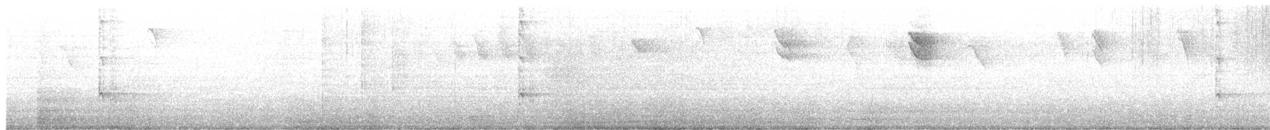 White-spotted Woodpecker - ML619500742