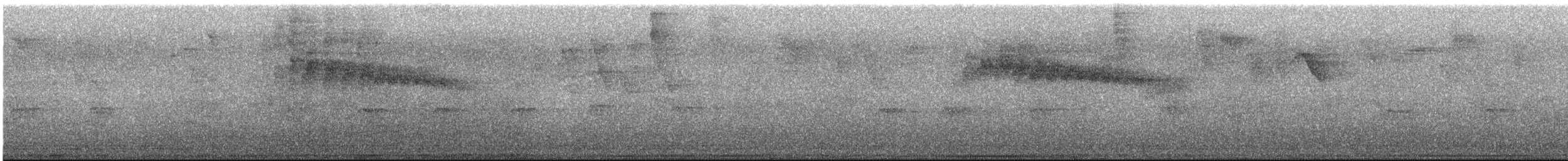 Synallaxe olive - ML619502575