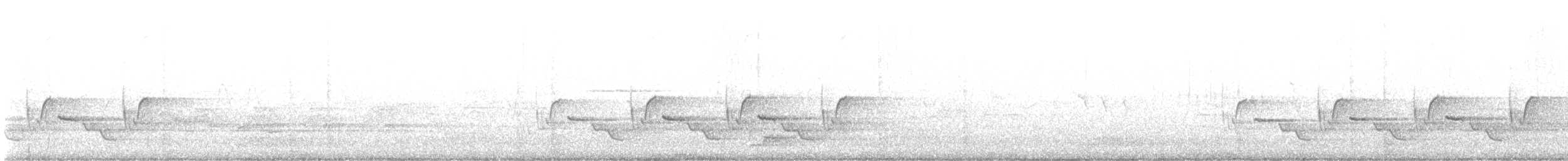 Troglodyte de Caroline - ML619504552
