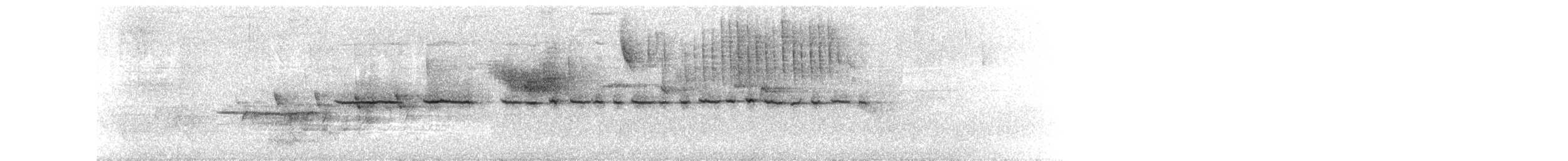 ノドジロシトド - ML619505030