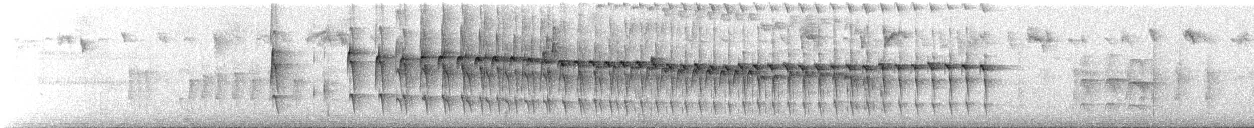 stripehodestifthale - ML619505153
