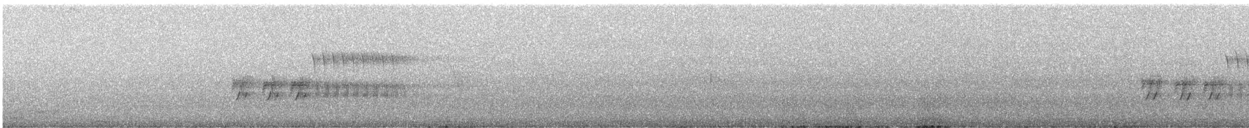 Тауї плямистий - ML619505844