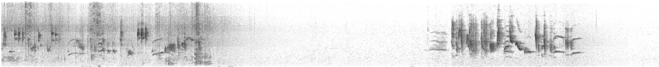 Txinbo papargorrizta iberiarra - ML619506881