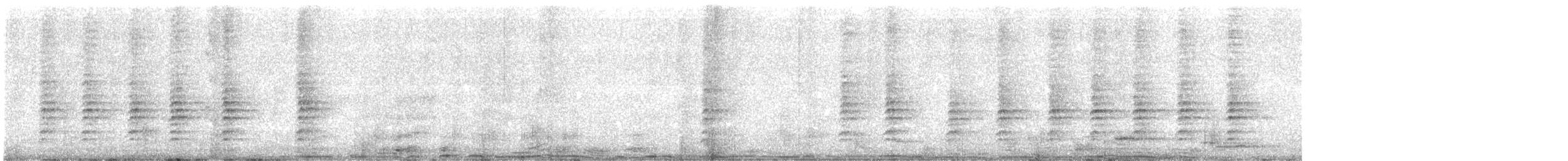 Méliphage carillonneur - ML619507006
