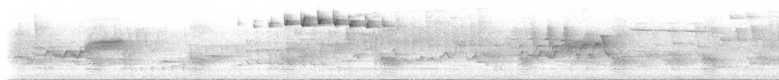 Paruline rayée - ML619507211