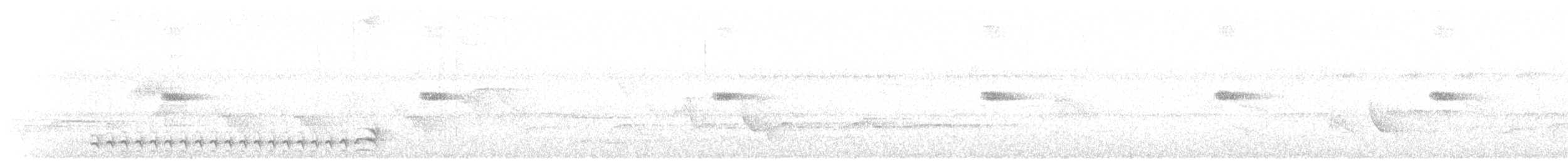 Black-crowned Antshrike - ML619507290