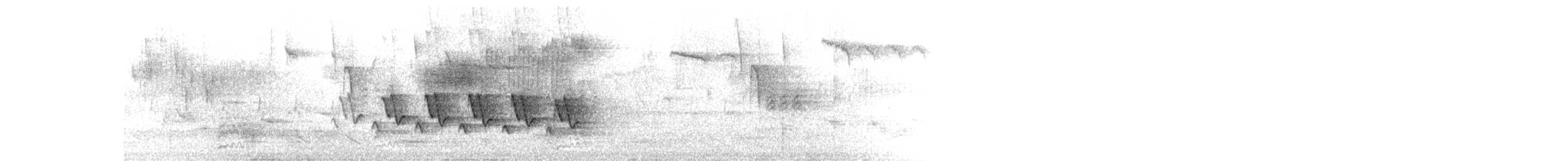 メガネアメリカムシクイ - ML619507604