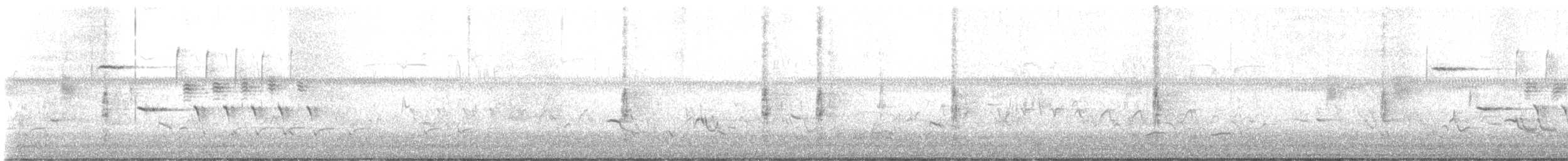 גיבתונית רוננת - ML619508218
