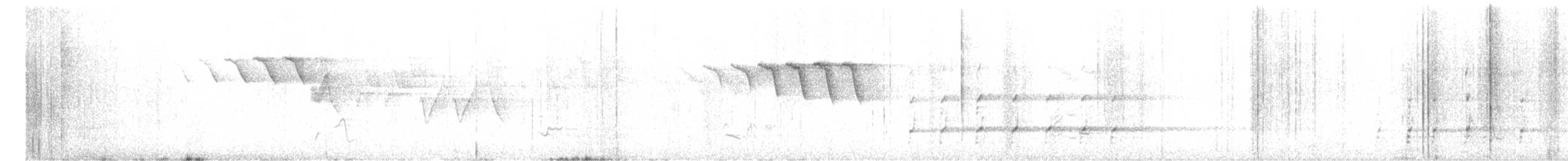 orel bělohlavý - ML619508687