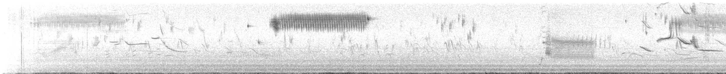 Çekirge Sesli Çayır Serçesi - ML619509005