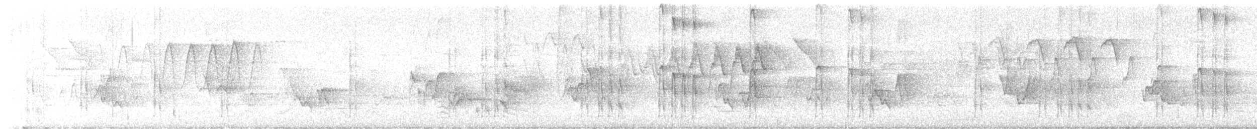 Hairy Woodpecker - ML619509168