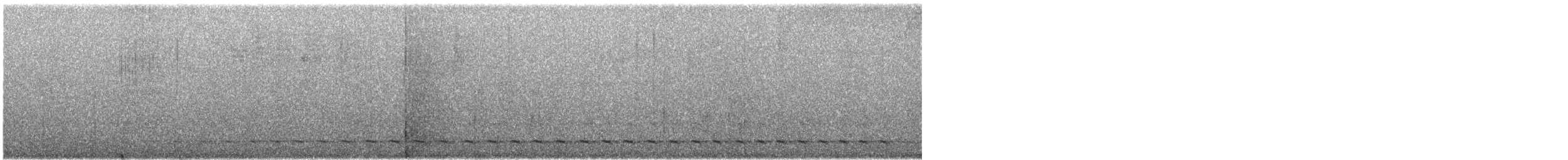 White-tailed Trogon - ML619509870