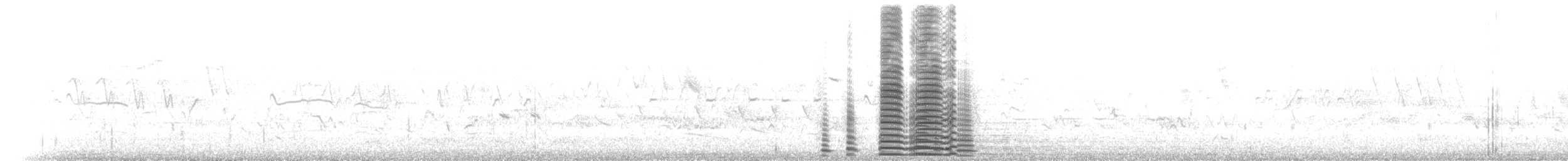 Cisne Trompetero - ML619510099