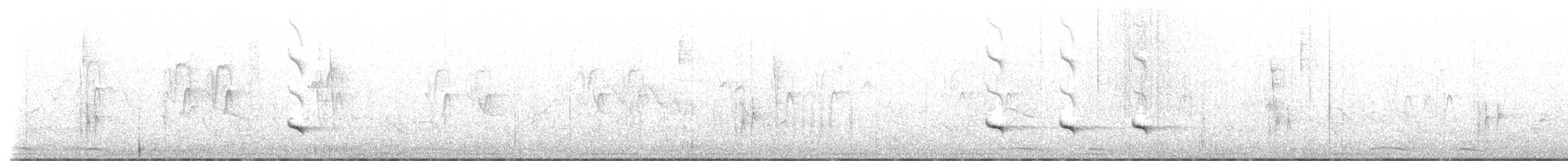 grånakkebekard - ML619510316