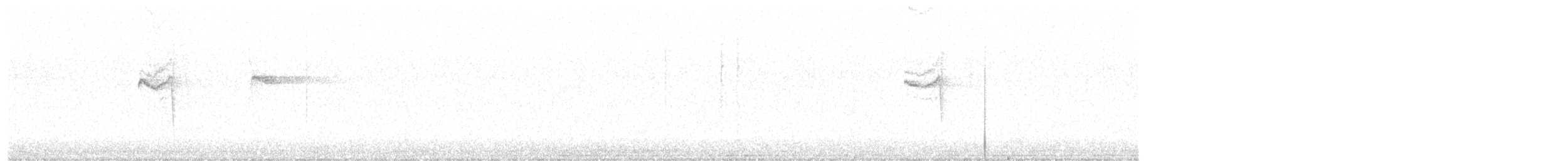 Gri Karınlı Dikenkuyruk - ML619511047
