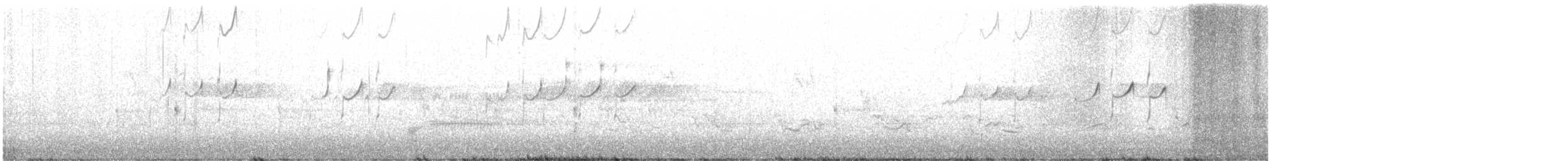 Einsiedelwasserläufer - ML619511148