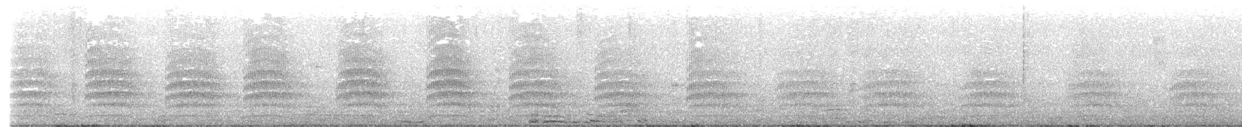 Mouette argentée (scopulinus) - ML619512084