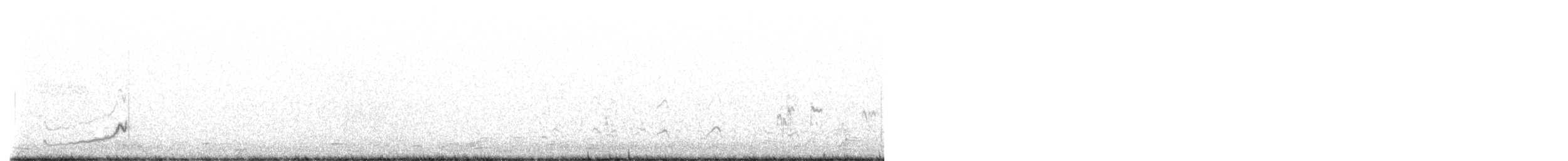 Snowy Plover - ML619513113