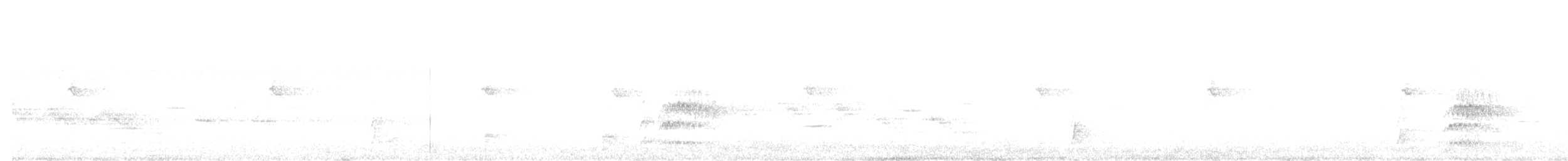 Дрізд-короткодзьоб Cвенсона - ML619513397