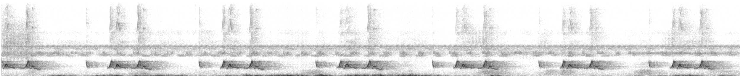 Carolinanachtschwalbe - ML619513523