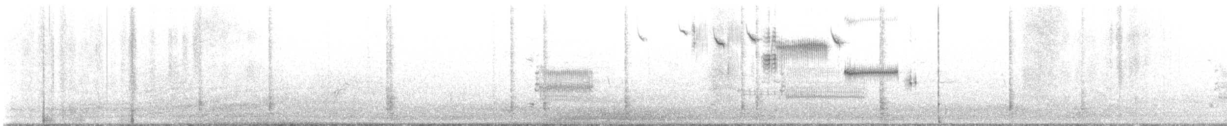 Savannah Sparrow - ML619513714