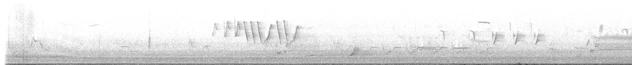 Colino della Virginia - ML619514101