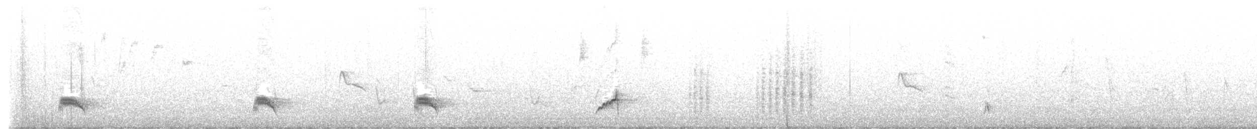 Brown-crested Flycatcher - ML619514114