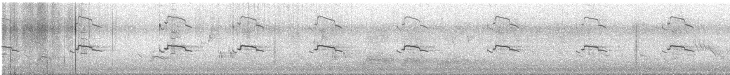Маорийская чайка - ML619514924
