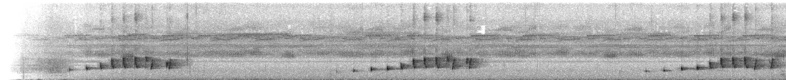 lelek středoamerický - ML619515766