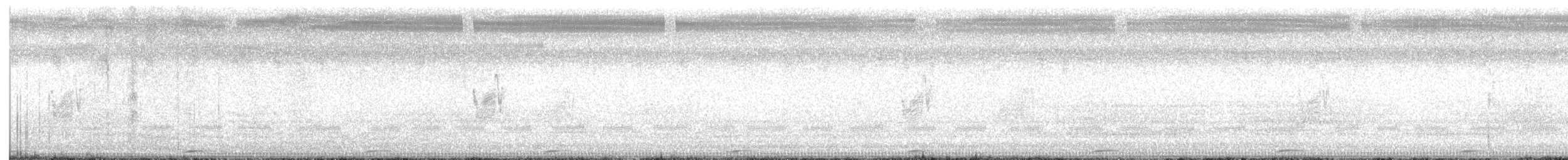 Savannennachtschwalbe - ML619518061