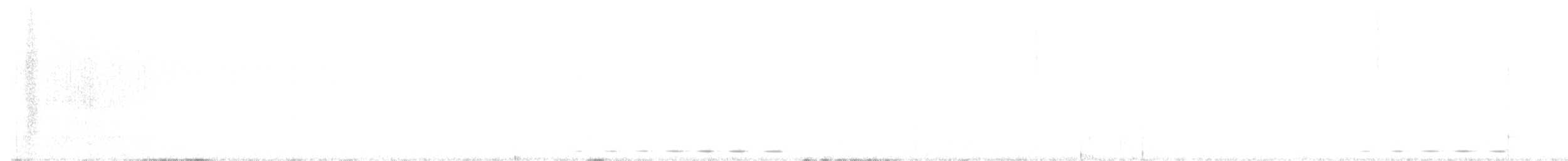 Усатая совка - ML619518201