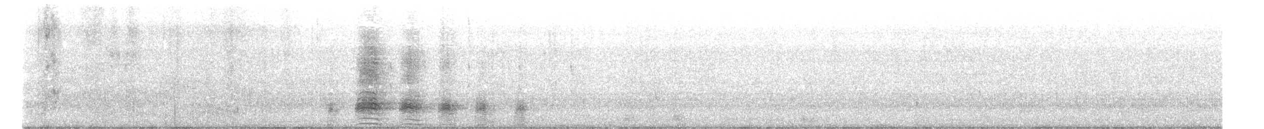 綠頭鴨(馴化) - ML619518403