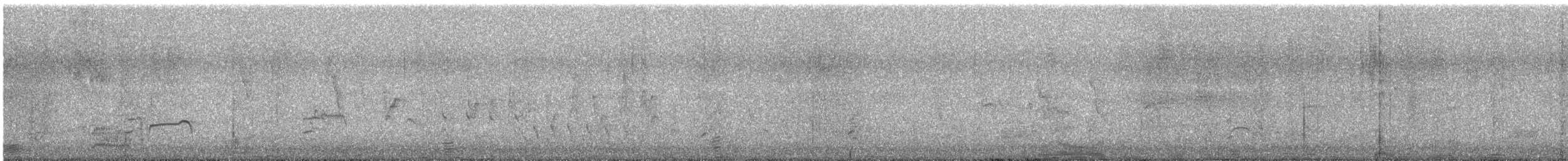 kulík bledý - ML619518652