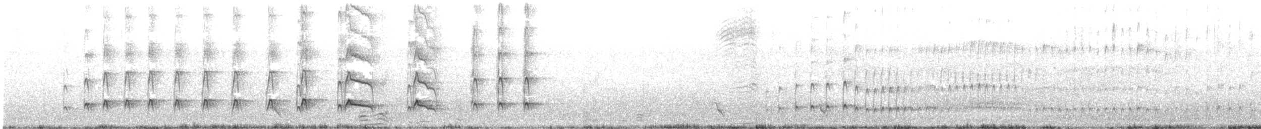 Новозеландский кулик-сорока - ML619518671