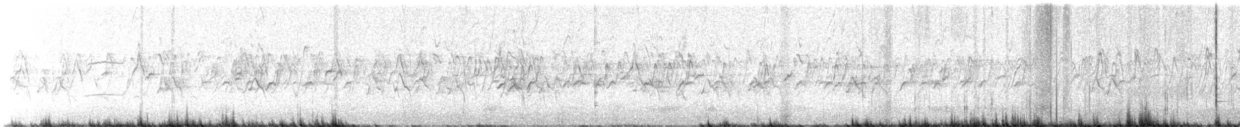 Weißaugen-Honigfresser - ML619518898