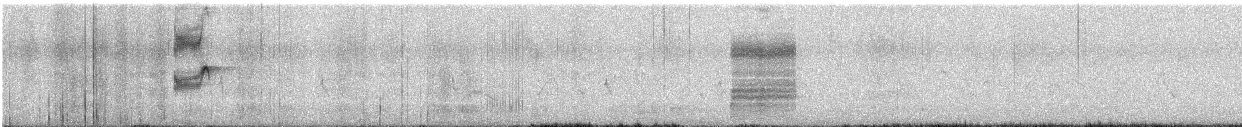 Iberian Gray Shrike - ML619518938