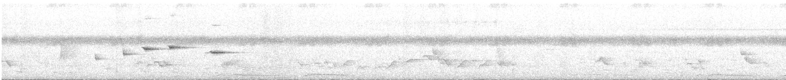 Белошейная веерохвостка - ML619519949
