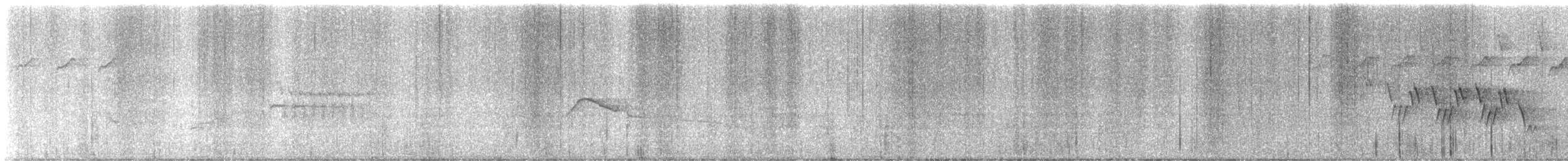 Черногорлая хвойница - ML619521064