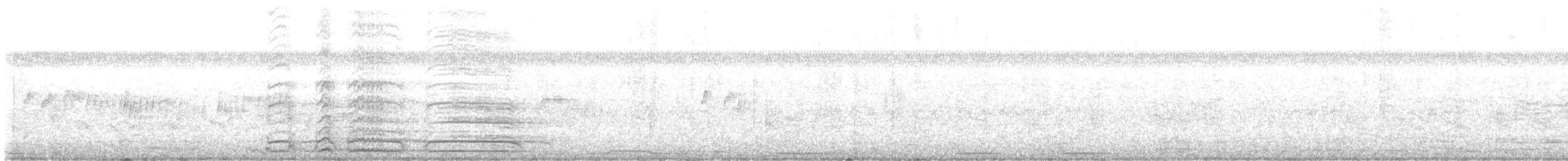 Тиран сірий - ML619521112