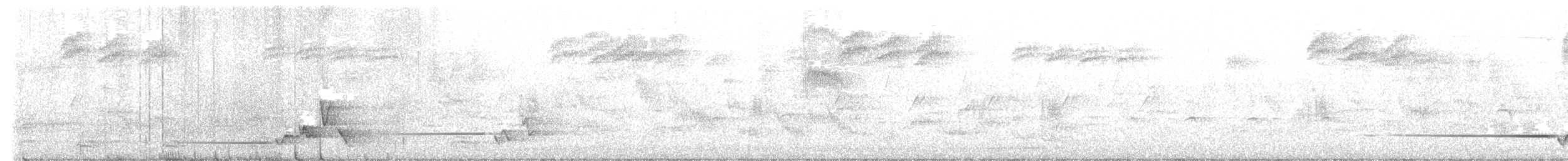Pouillot de Swinhoe - ML619521572