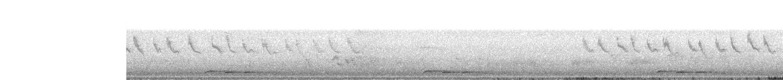 Зозуля короткокрила - ML619521704