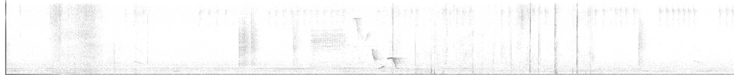 Grauband-Ameisenvogel - ML619521777