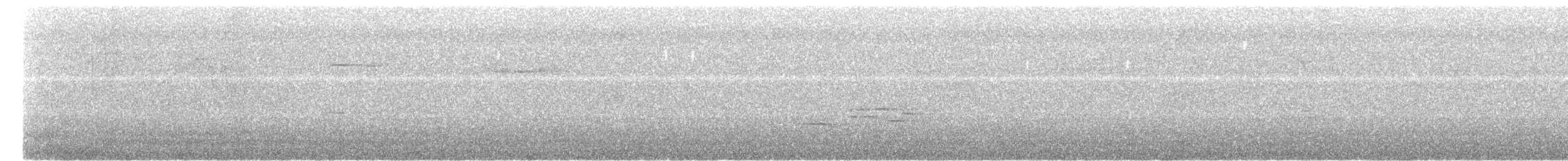 Myiomèle à queue blanche - ML619522667