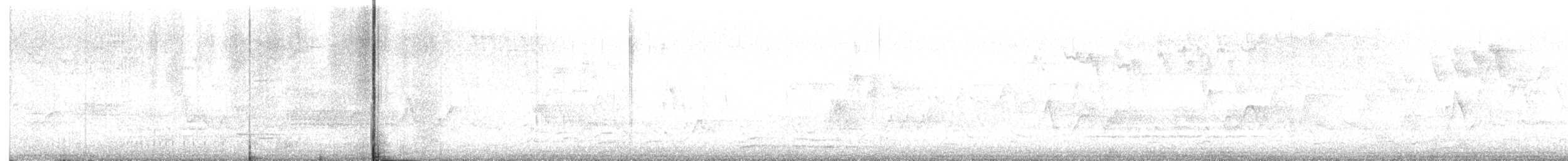 ノドグロアメリカムシクイ - ML619522761
